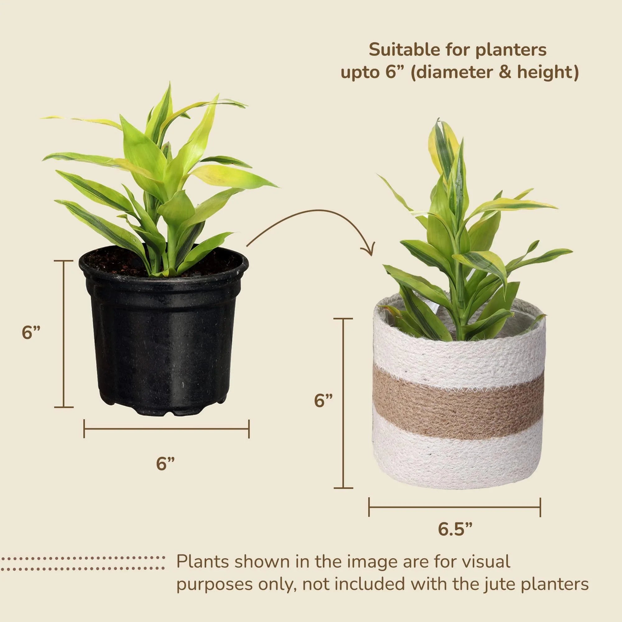 Jute Planter Basket Sustainable Woven Rope Covers for Decorating Indoor Outdoor Plants Pots 6.5X6.5X6 Inches Ideal Size for 6 Planter Multi Purpose Storage Set of 4 White & Natural Jute